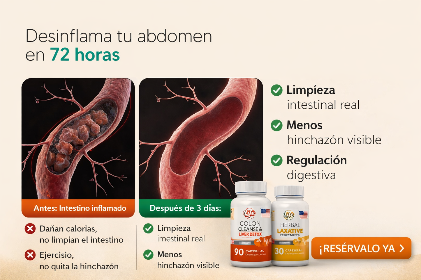 Detox Barriga Plana