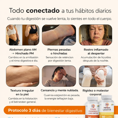 Detox Barriga Plana