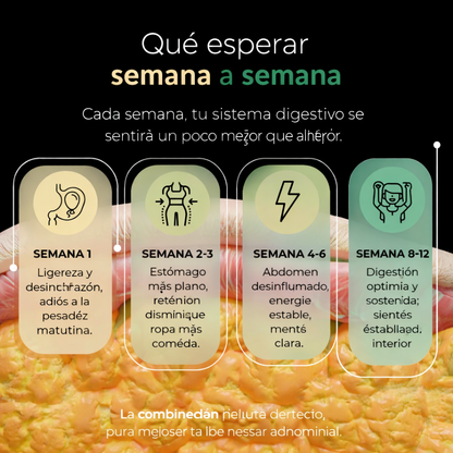 Detox Barriga Plana